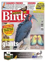 Cage & Aviary Birds